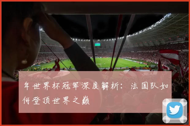 年世界杯冠军深度解析:法国队如何登顶世界之巅