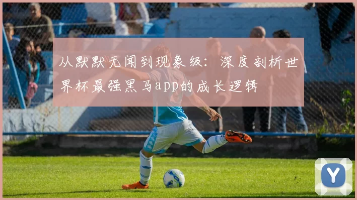 从默默无闻到现象级:深度剖析世界杯最强黑马app的成长逻辑