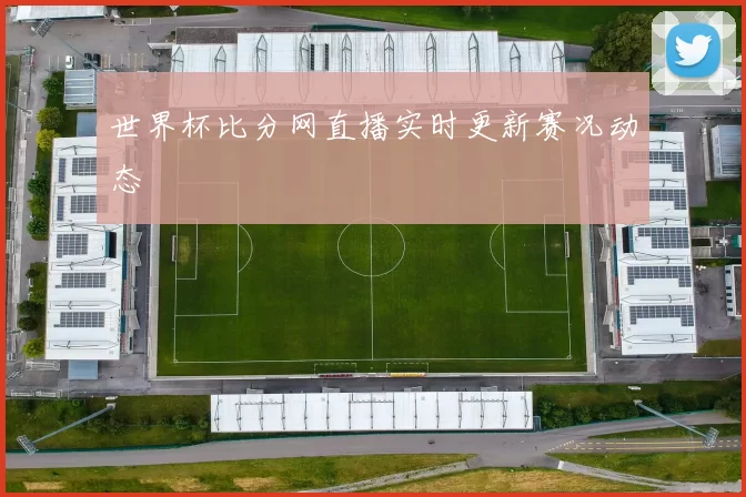 世界杯比分网直播实时更新赛况动态
