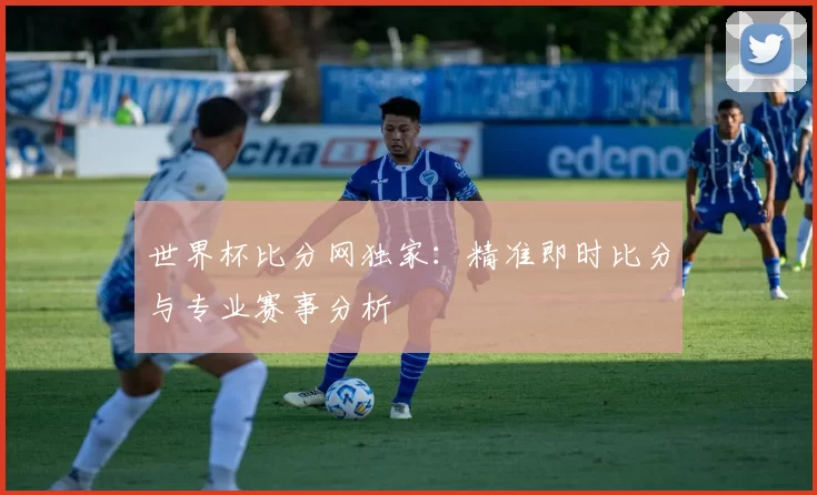 世界杯比分网独家:精准即时比分与专业赛事分析