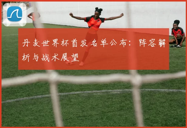 丹麦世界杯首发名单公布:阵容解析与战术展望