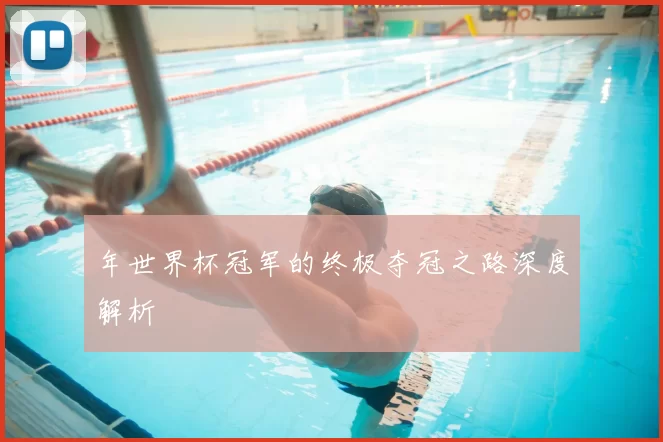 年世界杯冠军的终极夺冠之路深度解析