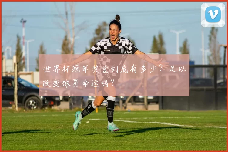 世界杯冠军奖金到底有多少?足以改变球员命运吗?