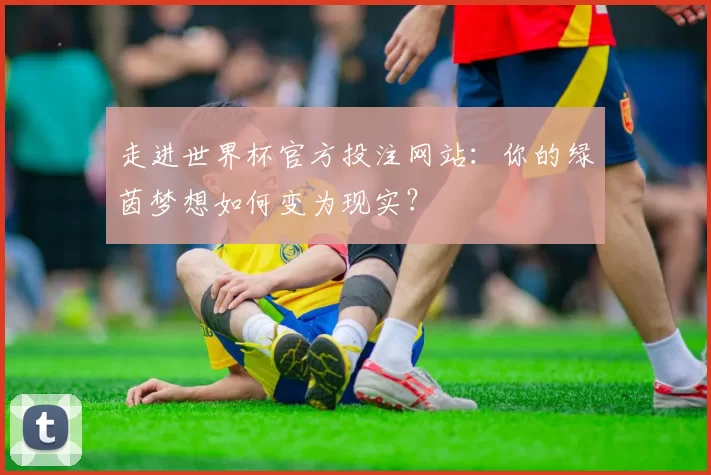 走进世界杯官方投注网站：你的绿茵梦想如何变为现实？