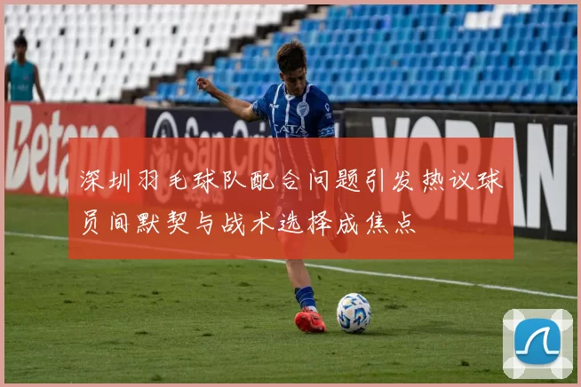 深圳羽毛球队配合问题引发热议球员间默契与战术选择成焦点