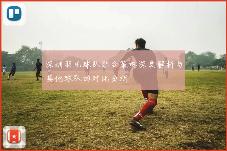 深圳羽毛球队配合策略深度解析与其他球队的对比分析