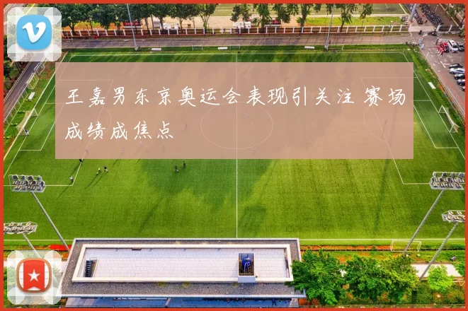 王嘉男东京奥运会表现引关注 赛场成绩成焦点