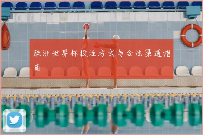 欧洲世界杯投注方式与合法渠道指南
